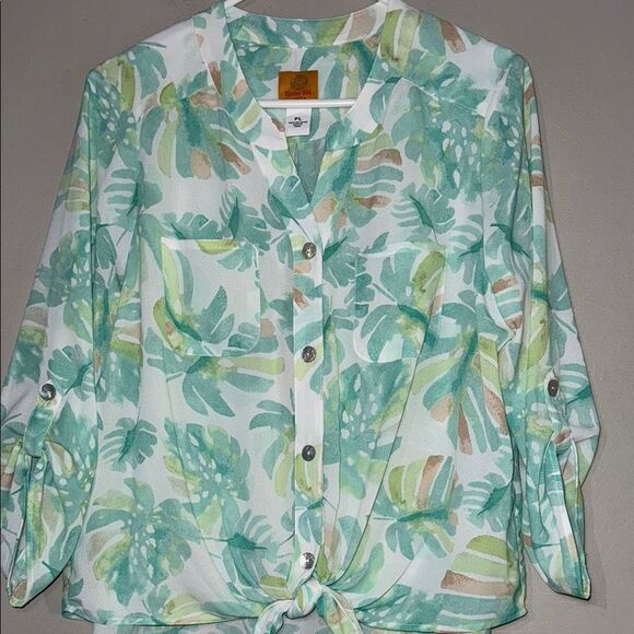 Ruby Rd Green and White 3/4 Sleeve Notched Collar Button Down - Picture 1 of 14